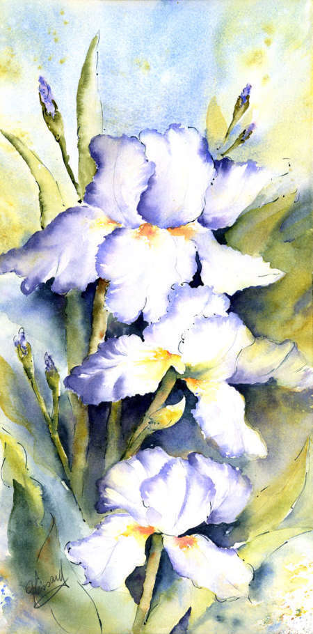 medium Aquarelle - Peinture - Gaétane Lessard