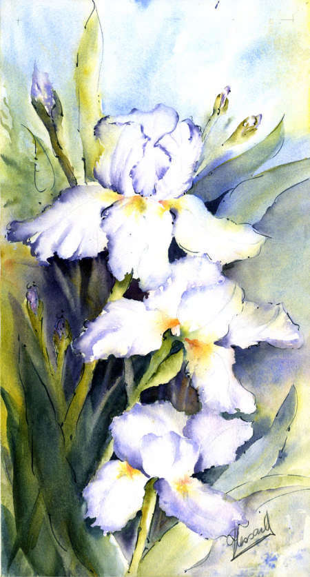 medium Aquarelle - Peinture - Gaétane Lessard