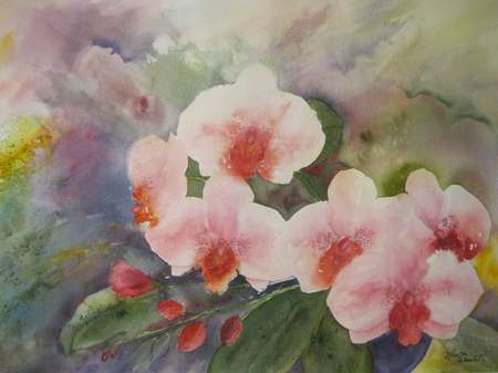 medium Aquarelle - Peinture - Marthe Thiboutot