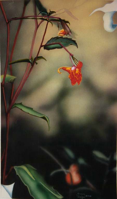 medium Acrylique - Peinture - Suzanne Richer