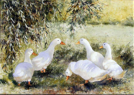 medium Aquarelle - Peinture - Gaétane Lessard