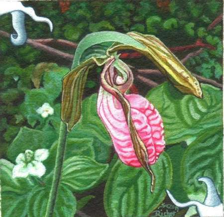 medium Acrylique - Peinture - Suzanne Richer