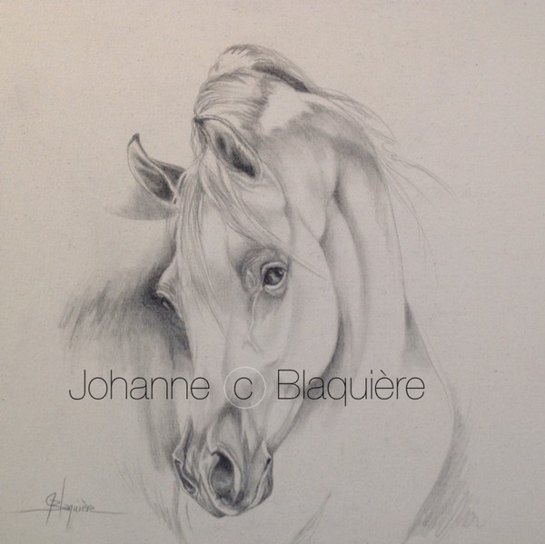 medium Graphite - Peinture - Johanne Blaquière