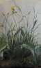 Martine Ouellet - Touffe d'herbe