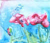 Ginette Lambert - Pavots I