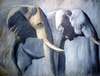 Jorge Borras - Profil d'elephants