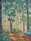 Martine Larochelle - Sentier vers la lumière