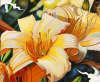 Suzanne Richer - Bless by the sun