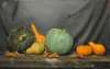 Martine Ouellet - Courges d'automne