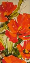 Victoria Cananova - Coquelicot