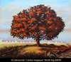 Gilles Labranche - L'arbre magique