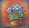 Linda Coulombe(Linduska) - violette