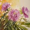 Victoria Cananova - Les  pivoines