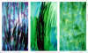 Georgeta Stefanescu - Hybride (triptyque)