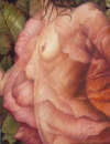 Chantal Ouellet - Flora