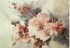 Nicole Zeimet - Tendres roses