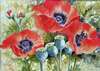 Gaétane Lessard - Jolis coquelicots