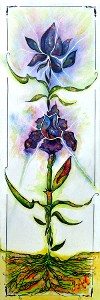 Ginette Ash - Iris bleus et mauve