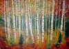 Monïka Rouleau - Les bouleaux a l'automne