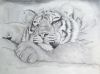 Sylvie Malenfant(Vi) - ...
