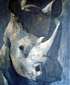 Jorge Borras - Tete de rhinoceros de face