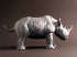 Jorge Borras - Rhinoceros