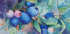 Florence Dionne - Bleuets