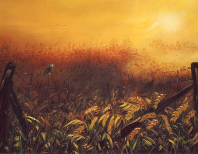 cliquez sur la photo pour avoir les détails de l'oeuvre