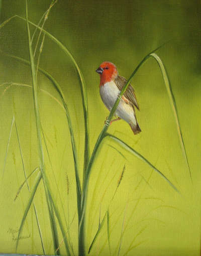 cliquez sur la photo pour avoir les détails de l'oeuvre