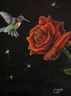 Danièle  Lavoie - rose colibri
