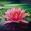 Ginette Ash - Lotus rose