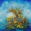 Claudine Dontigny - Le buisson ardent