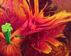Ginette Ash - Tulipe Perroquet aux couleurs ardentes